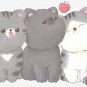 ヒメ日記 2025/02/10 16:19 投稿 菊川(きくかわ)奥様 金沢の20代30代40代50代が集う人妻倶楽部