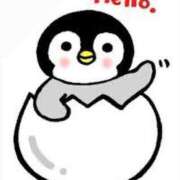 ヒメ日記 2025/02/14 11:18 投稿 菊川(きくかわ)奥様 金沢の20代30代40代50代が集う人妻倶楽部