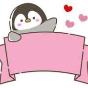 ヒメ日記 2025/02/14 15:18 投稿 菊川(きくかわ)奥様 金沢の20代30代40代50代が集う人妻倶楽部