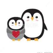 ヒメ日記 2025/02/26 23:49 投稿 菊川(きくかわ)奥様 金沢の20代30代40代50代が集う人妻倶楽部