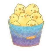 ヒメ日記 2025/03/05 09:19 投稿 菊川(きくかわ)奥様 金沢の20代30代40代50代が集う人妻倶楽部