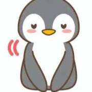 ヒメ日記 2025/04/23 13:03 投稿 菊川(きくかわ)奥様 金沢の20代30代40代50代が集う人妻倶楽部