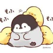 ヒメ日記 2025/04/24 01:48 投稿 菊川(きくかわ)奥様 金沢の20代30代40代50代が集う人妻倶楽部