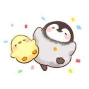 ヒメ日記 2025/04/25 14:04 投稿 菊川(きくかわ)奥様 金沢の20代30代40代50代が集う人妻倶楽部