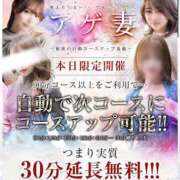 ヒメ日記 2025/04/25 17:19 投稿 菊川(きくかわ)奥様 金沢の20代30代40代50代が集う人妻倶楽部