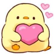 ヒメ日記 2025/04/29 12:03 投稿 菊川(きくかわ)奥様 金沢の20代30代40代50代が集う人妻倶楽部