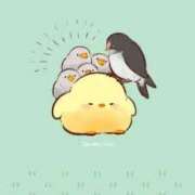 菊川(きくかわ)奥様 ごきげんよう|˙꒳˙) 金沢の20代30代40代50代が集う人妻倶楽部