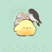 菊川(きくかわ)奥様 ごきげんよう☕𓈒𓏸︎︎︎︎ 金沢の20代30代40代50代が集う人妻倶楽部