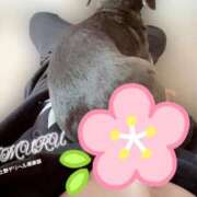 ヒメ日記 2025/03/04 09:19 投稿 りむる 上野デリヘル倶楽部