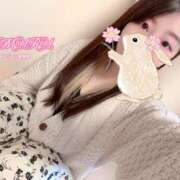 ヒメ日記 2025/03/27 11:43 投稿 りむる 上野デリヘル倶楽部