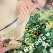 ヒメ日記 2025/05/29 01:01 投稿 ハラダ 東京★出張マッサージ委員会Z