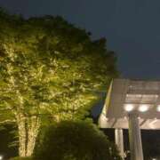 ヒメ日記 2025/06/07 18:54 投稿 ハラダ 東京★出張マッサージ委員会Z