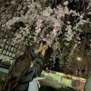 ヒメ日記 2025/03/27 18:11 投稿 めろち レモンカフェ