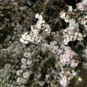 ヒメ日記 2025/03/28 18:08 投稿 めろち レモンカフェ