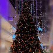 ヒメ日記 2024/12/18 21:46 投稿 みちる 電車ごっこ