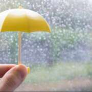 ヒメ日記 2025/05/02 15:29 投稿 みちる 電車ごっこ