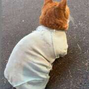 ヒメ日記 2025/05/03 12:50 投稿 みちる 電車ごっこ