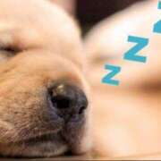 ヒメ日記 2025/05/24 23:20 投稿 みちる 電車ごっこ