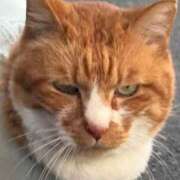 ヒメ日記 2025/05/30 07:40 投稿 みちる 電車ごっこ