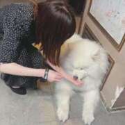 ヒメ日記 2025/06/02 00:29 投稿 みちる 電車ごっこ