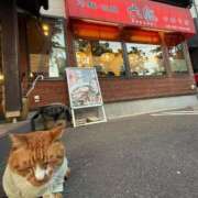 ヒメ日記 2025/06/03 18:10 投稿 みちる 電車ごっこ