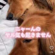 ヒメ日記 2025/07/28 22:30 投稿 みちる 電車ごっこ