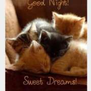 ヒメ日記 2025/08/06 23:50 投稿 みちる 電車ごっこ