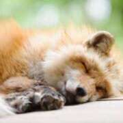 ヒメ日記 2025/08/07 23:50 投稿 みちる 電車ごっこ