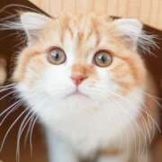 ヒメ日記 2025/08/10 22:50 投稿 みちる 電車ごっこ