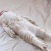 ヒメ日記 2025/08/10 23:25 投稿 みちる 電車ごっこ