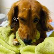 ヒメ日記 2025/08/11 22:50 投稿 みちる 電車ごっこ