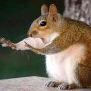 ヒメ日記 2025/08/13 23:00 投稿 みちる 電車ごっこ