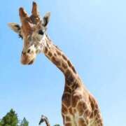 ヒメ日記 2025/08/19 23:35 投稿 みちる 電車ごっこ