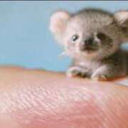 ヒメ日記 2025/08/20 23:50 投稿 みちる 電車ごっこ