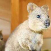 ヒメ日記 2025/08/30 23:30 投稿 みちる 電車ごっこ