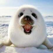 ヒメ日記 2025/09/06 23:36 投稿 みちる 電車ごっこ