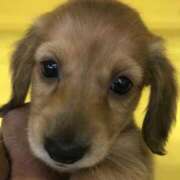 ヒメ日記 2025/09/06 23:50 投稿 みちる 電車ごっこ