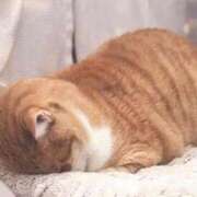 ヒメ日記 2025/09/07 13:30 投稿 みちる 電車ごっこ