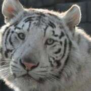 ヒメ日記 2025/10/03 23:50 投稿 みちる 電車ごっこ