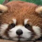 ヒメ日記 2025/10/05 23:50 投稿 みちる 電車ごっこ