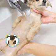 ヒメ日記 2025/11/24 17:10 投稿 みちる 電車ごっこ