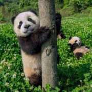 みちる ちょっとした疑問🥹 電車ごっこ