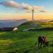 ヒメ日記 2026/01/20 11:43 投稿 みちる 電車ごっこ