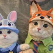 ヒメ日記 2026/01/20 19:21 投稿 みちる 電車ごっこ