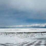 ヒメ日記 2026/02/01 10:20 投稿 みちる 電車ごっこ