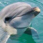 ヒメ日記 2026/02/09 16:50 投稿 みちる 電車ごっこ