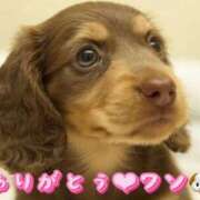 ヒメ日記 2026/02/13 18:55 投稿 みちる 電車ごっこ