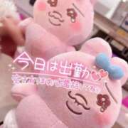 蘭-Ran- 今日も🤍 Aroma Bloom（アロマブルーム）