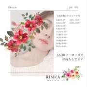 ヒメ日記 2025/01/03 19:59 投稿 江崎りんか 五反田ヒーローズ（ユメオト）