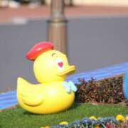 ヒメ日記 2025/05/04 23:06 投稿 らら クラスメイト